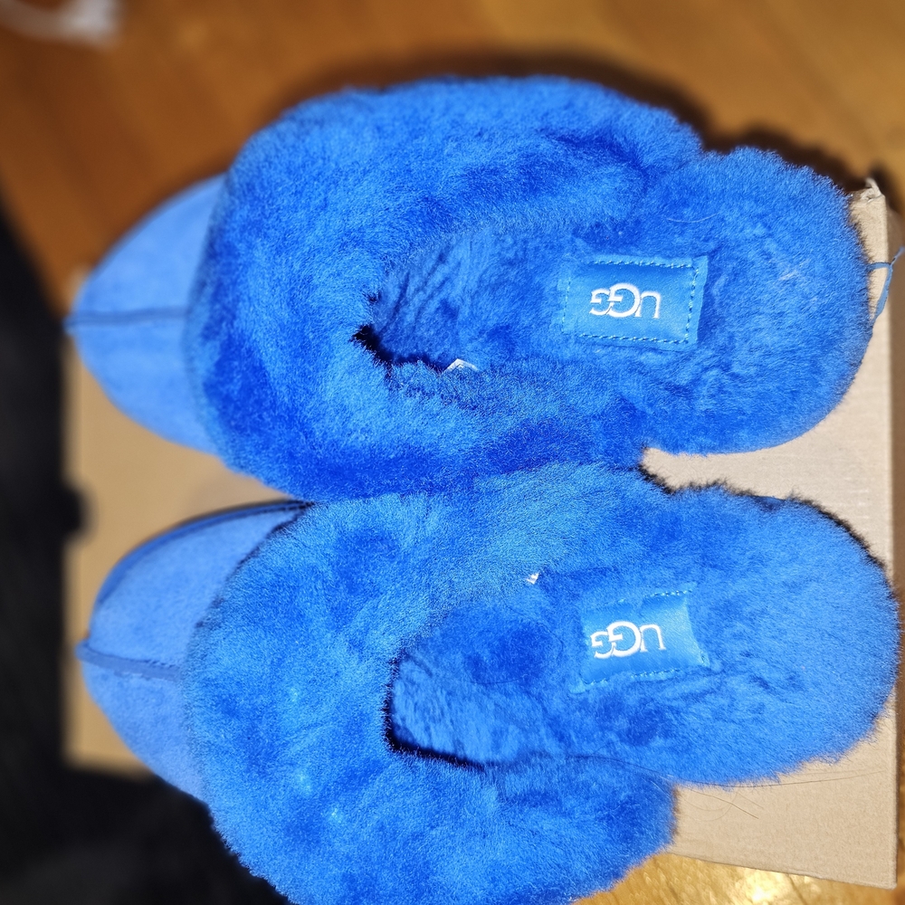 UGG Blue Fuzzy Slippers